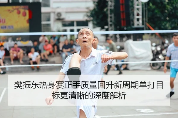 樊振东热身赛正手质量回升新周期单打目标更清晰的深度解析