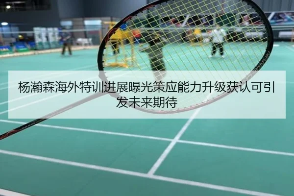 杨瀚森海外特训进展曝光策应能力升级获认可引发未来期待